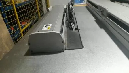 100mm Stroke 50kg Payload Ball Screw Linear Moving Unit for Plastic Packaging Line